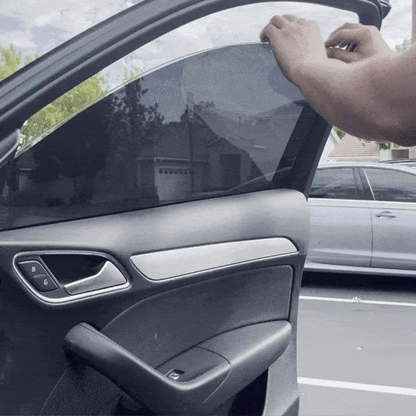 levanti™ Removable Window Tint